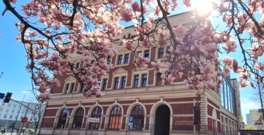 ALO w Gliwicach ze świetnymi wynikami egzaminów maturalnych