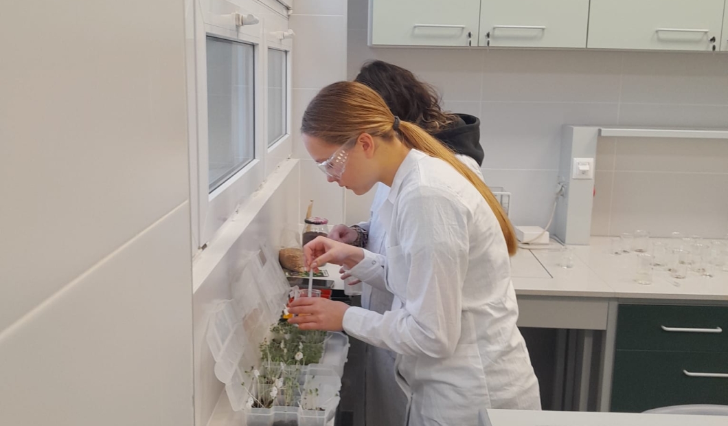 Naturalne pestycydy w obronie roślin - projekt PBL