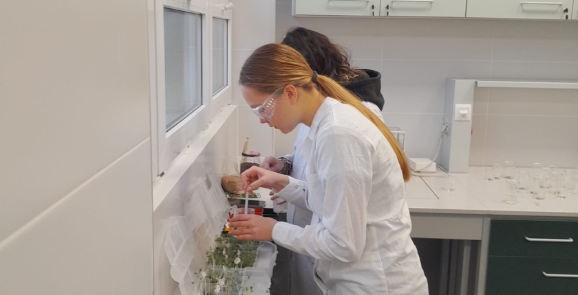 Naturalne pestycydy w obronie roślin - projekt PBL